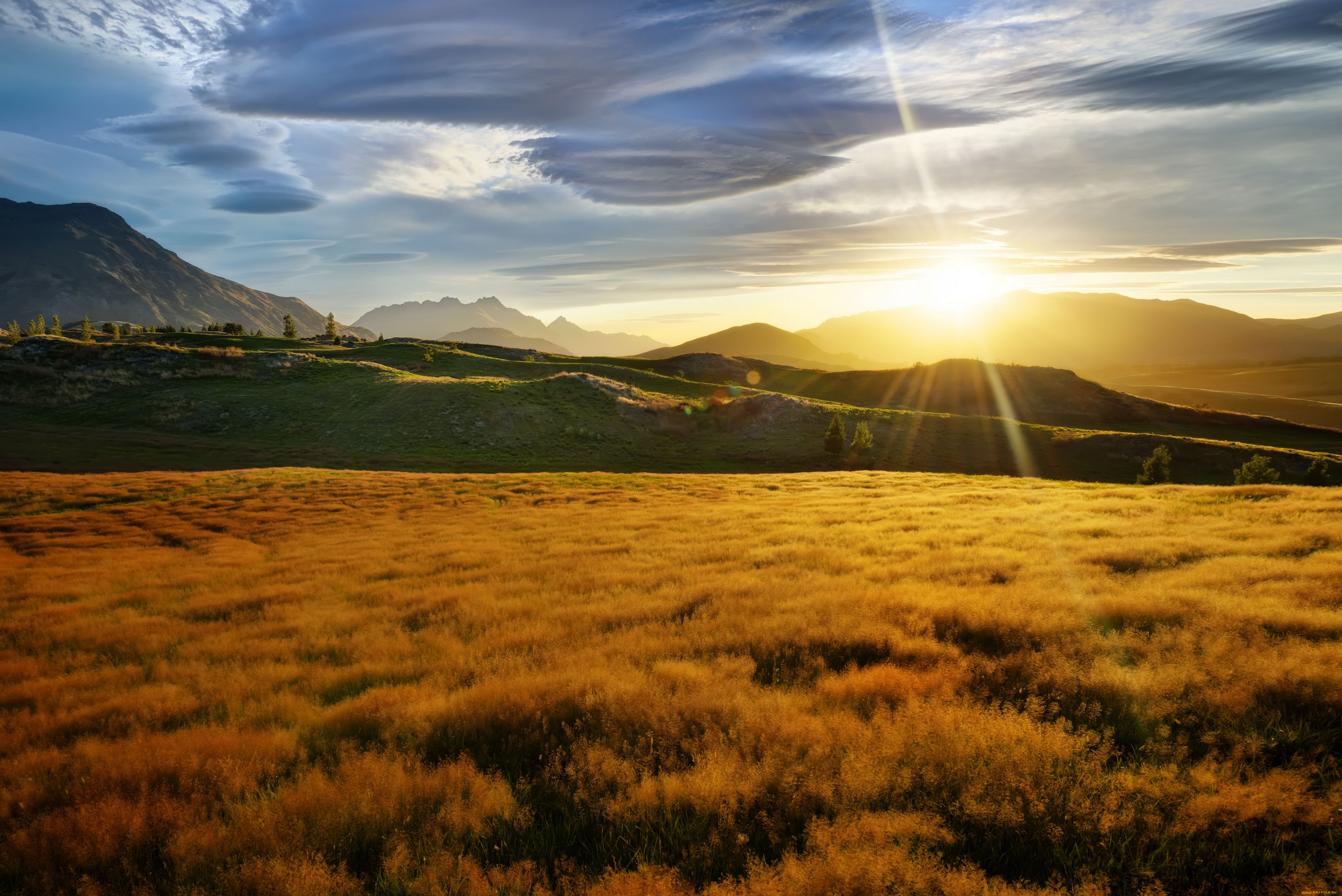 new, zealand, , , , , , , , 